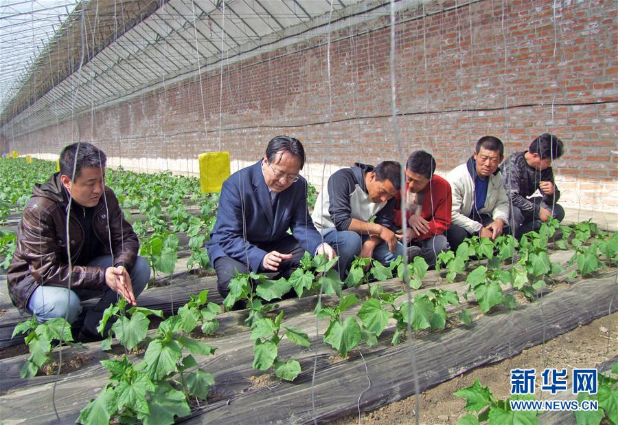 （新华全媒头条·图文互动）（6）和蔬菜“说话”的人——九游会最新线路
院士李天来的“棚菜人生”