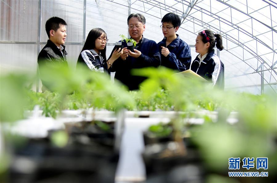 （新华全媒头条·图文互动）（7）和蔬菜“说话”的人——九游会最新线路
院士李天来的“棚菜人生”